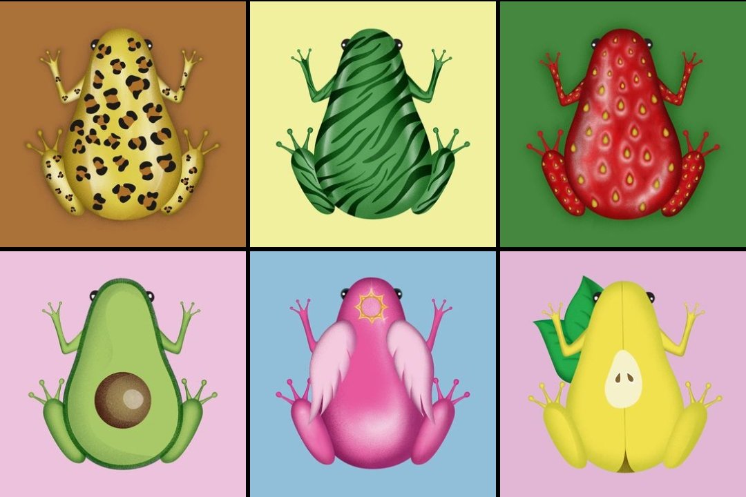 My NFT collection 🐸🐸🫧