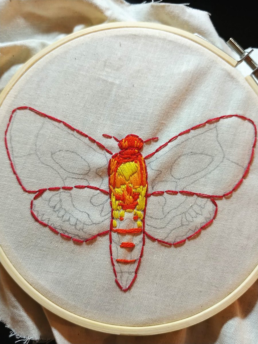 Krisaelaa's tweet photo. Decided to take up embroidery! Wanted to do a death's head hawkmoth. My progress so far.

#embroideryart #deathsheadhawkmoth #deathsheadmoth https://t.co/YFEIs2PPcO
