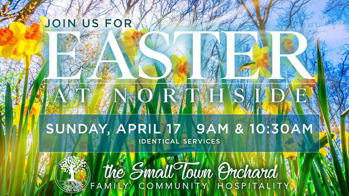 🌷 Easter at Northside 🌷
🎨 Dyeing Eggs | Saturday, April 9 at 10am at Orchard Northside | Supplies and Lunch will be provided.
🖤 Good Friday Service | Noon Outside at Orchard Northside | Bring a chair or blanket.
🤍 Easter Services | 9am and 10:30am (Identical Services)