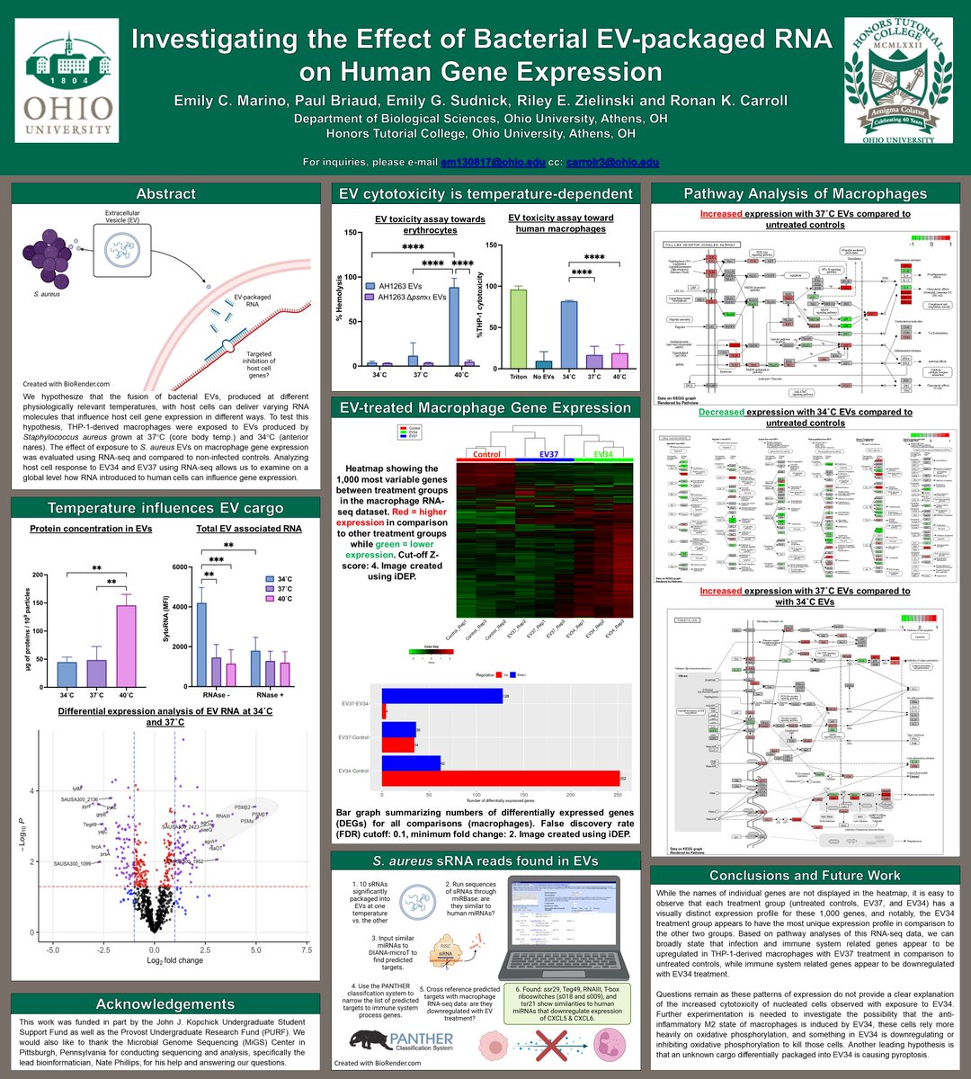 Emily Marino tweet media