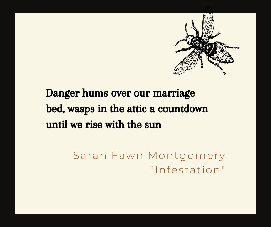 birdfeast's tweet image. Read "Infestation" by @SF_Montgomery in Issue 16: birdfeastmagazine.com/sixteen/montgo…