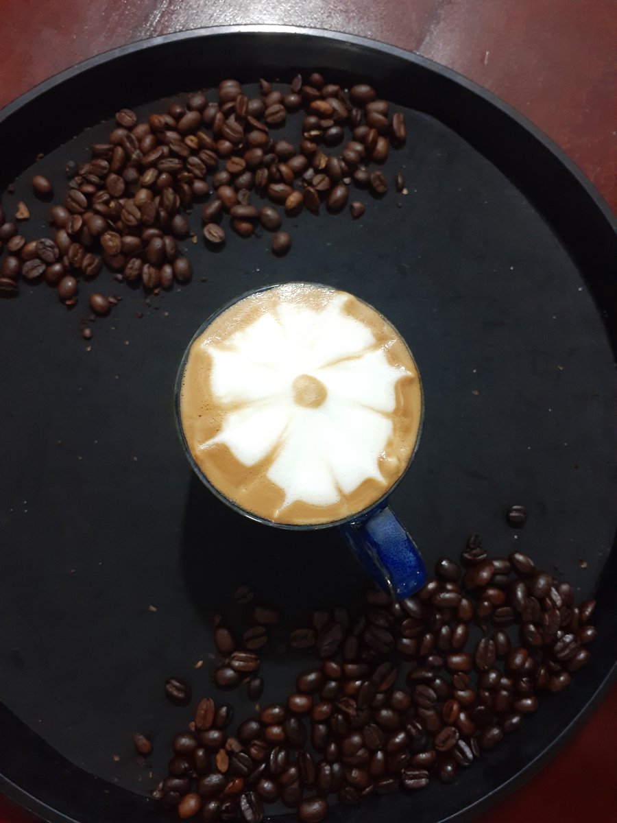 uney_cehotur's tweet photo. Un #barista es el profesional especializado en el #café de alta calidad. En #CEHOTUR formamos en este arte #taller #ServiciosTuristicos San Felipe #Yaracuy @uney_oficial @CafeYaracuy #Sesay https://t.co/DS1YyoRS4c