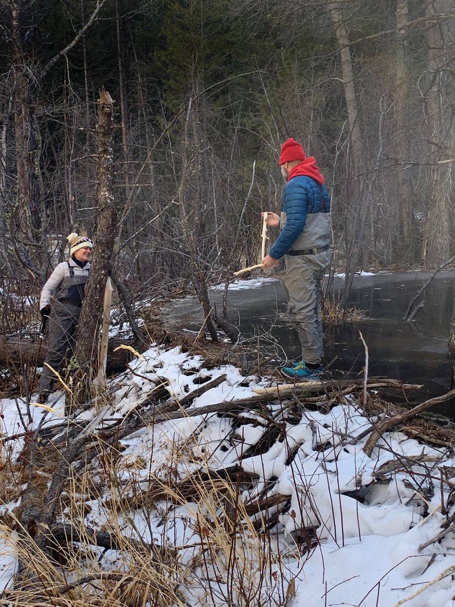 Me standing by a frozen beaver pond explaining sometime to a man holding a chewed stick.
