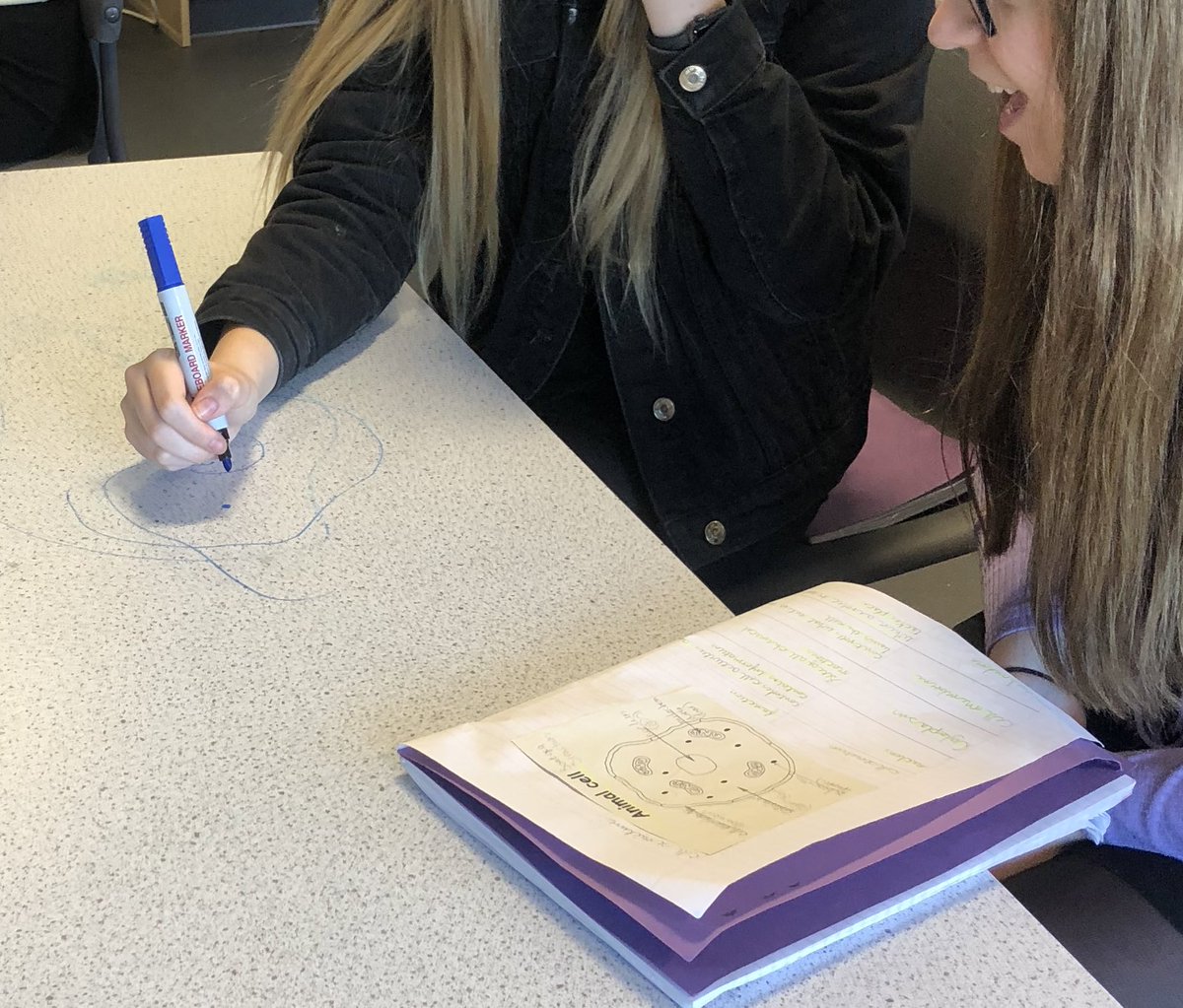 MissPenderBio's tweet photo. With masks being lifted in classrooms we put them to good use as blindfolds during a blind drawing partner exercises last week 🤣 impressed with the outcome actually!! https://t.co/KObGYDb3pU