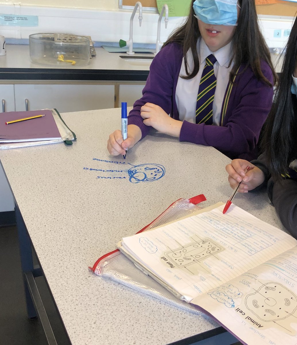 MissPenderBio's tweet photo. With masks being lifted in classrooms we put them to good use as blindfolds during a blind drawing partner exercises last week 🤣 impressed with the outcome actually!! https://t.co/KObGYDb3pU
