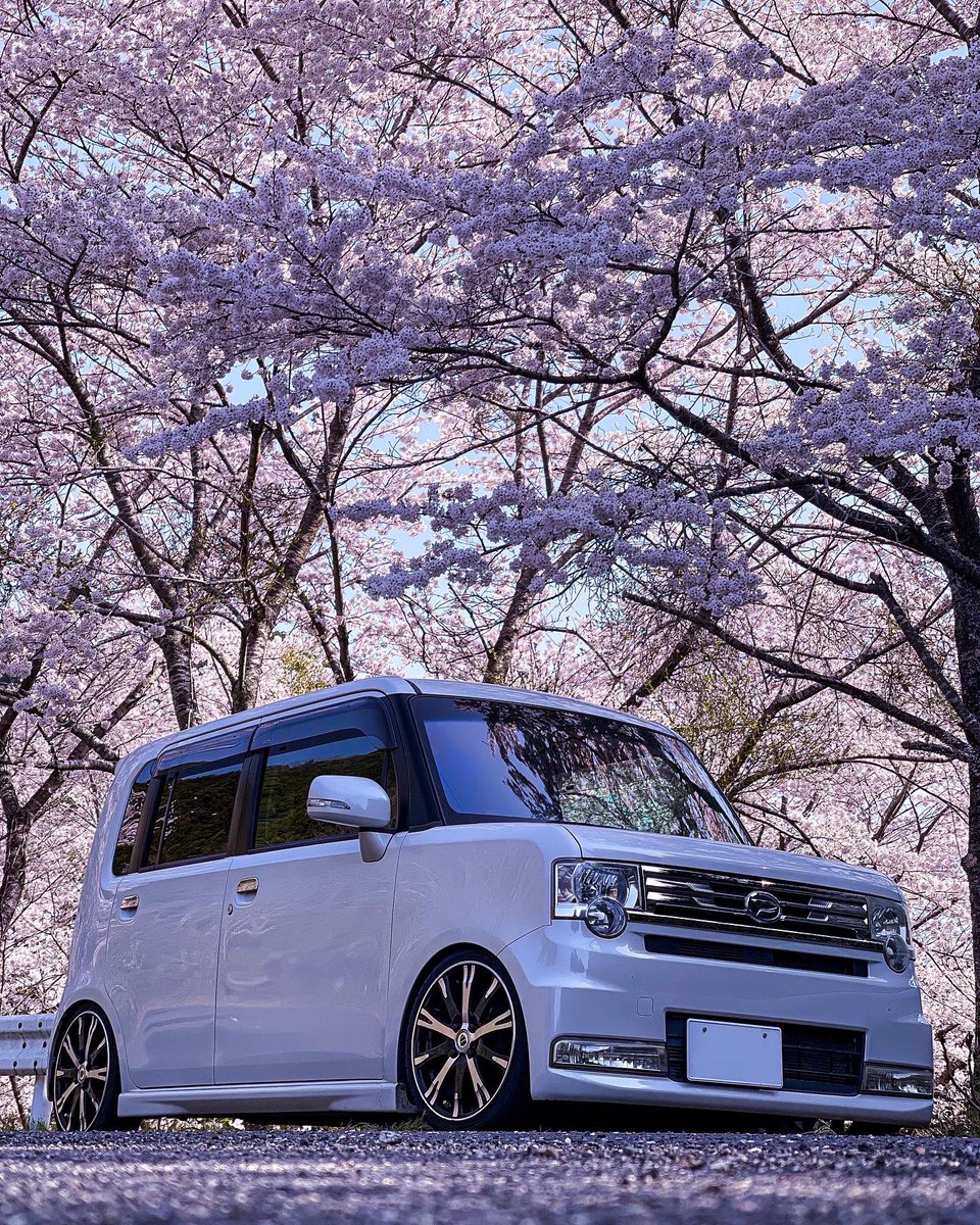miii589's tweet photo. ノーマルに近いコンテと桜2022 https://t.co/3sd9UYY3UO