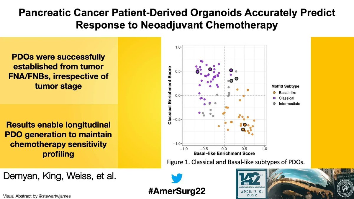 Annals of Surgery (@annalsofsurgery) on Twitter photo 4. Pancreatic Cancer Patient-Derived Organoids Accurately Predict Response to Neoadjuvant Chemotherapy
<a href="/DemyanLyudmyla/">Lyudmyla Demyan</a>, Daniel King, <a href="/AmberHabowski/">Dr. Amber Habowski</a>, Astrid Deschênes, <a href="/DennisPlenker/">Dennis Plenker</a>, Hardik Patel, <a href="/ShamsherP/">Shamsher Ali Pasha</a>, <a href="/arishiMD/">Arvind Rishi ✈</a> from <a href="/NorthwellHealth/">Northwell Health</a>, <a href="/CSHL/">Cold Spring Harbor Laboratory</a> #AmerSurg22 4. Pancreatic Cancer Patient-Derived Organoids Accurately Predict Response to Neoadjuvant Chemotherapy
<a href="/DemyanLyudmyla/">Lyudmyla Demyan</a>, Daniel King, <a href="/AmberHabowski/">Dr. Amber Habowski</a>, Astrid Deschênes, <a href="/DennisPlenker/">Dennis Plenker</a>, Hardik Patel, <a href="/ShamsherP/">Shamsher Ali Pasha</a>, <a href="/arishiMD/">Arvind Rishi ✈</a> from <a href="/NorthwellHealth/">Northwell Health</a>, <a href="/CSHL/">Cold Spring Harbor Laboratory</a> #AmerSurg22