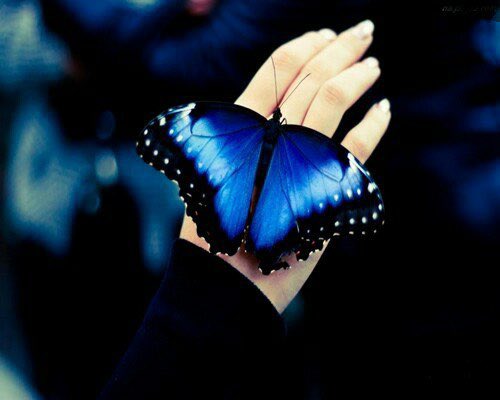 veskii4571's tweet photo. Чтобы узнать, что у человека на уме, достаточно провести словом по его самолюбию.

Ринат Валиуллин https://t.co/KA40ETaQnZ