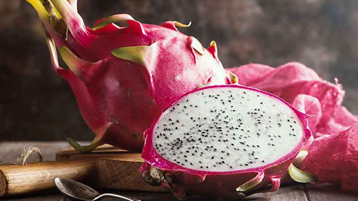 NewsEastIndia's tweet photo. The benefits of dragon fruit for health from Good Skin to Good Stomach Health: Report 07Apr 2022
 #07apr #2022 #benefits #dragon #for #from #fruit #good #health #healthnewstoday #news #newseastindia #report #skin #stomach #the

https://t.co/G4X0GWruDd https://t.co/3wdoSCrzi0