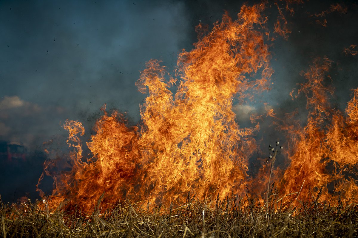 SciPolJournal's tweet photo. 🆕Op-ed: “The Need to Modernize California Wildfire Insurance Regulation with Climate Science” by Anisha G. Singh
Read more: https://t.co/nvoCFIOmAg
#JSPG #SciPol #wildfires #insuranceregulation #climatesciencemodeling https://t.co/p3xrKVBYoJ