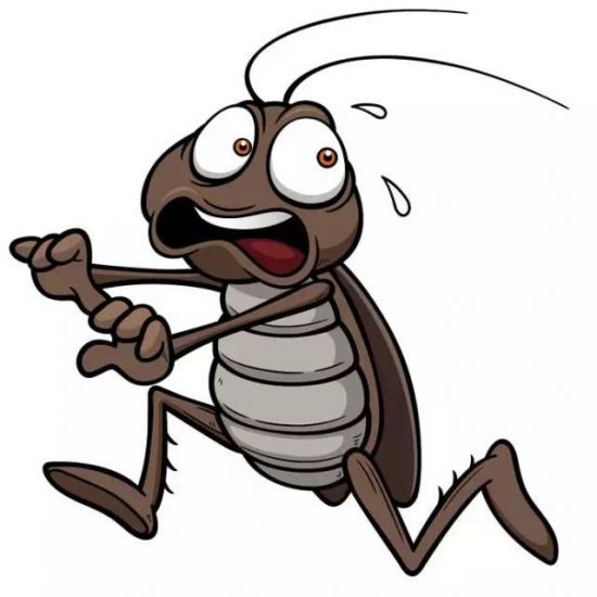 jazz_9988's tweet photo. ★People on earth are too arrogant and stupid。Only "cockroaches" can survive in the end。 https://t.co/2NqAx6zhvY