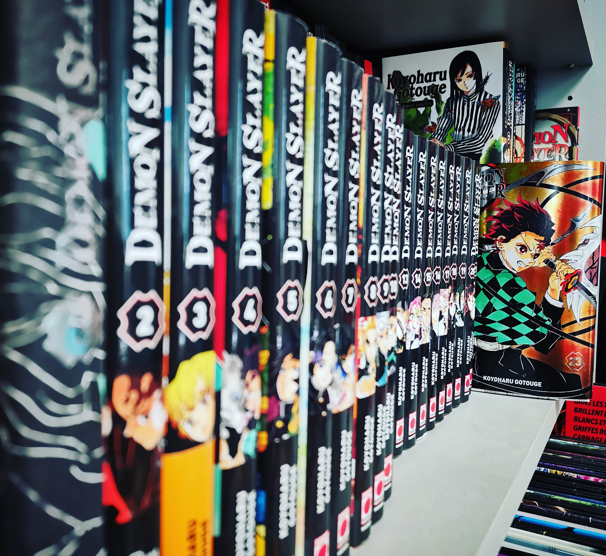 Demon Slayer Combien De Tome En France Panini Manga France on Twitter: "De quoi terminer l'aventure commencée