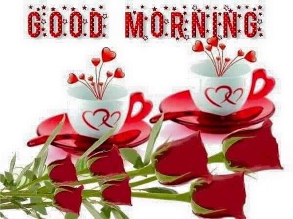 LisaBaxter6's tweet image. 