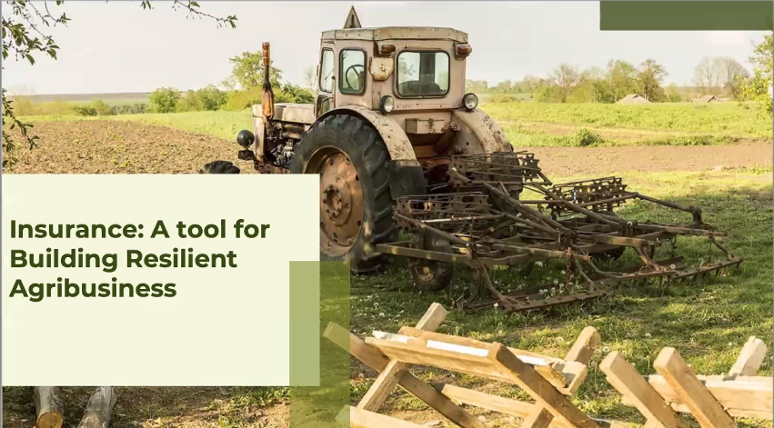 "Insurance is one of the most effective ways agripreneurs can use mitigate risks against their agribusinesses," Uka Eje, CEO and Co-Founder at Thrive Agric
#FirstThursdays
<a href="/EjeUka/">Uka Eje</a> <a href="/thriveagric/">ThriveAgric</a>