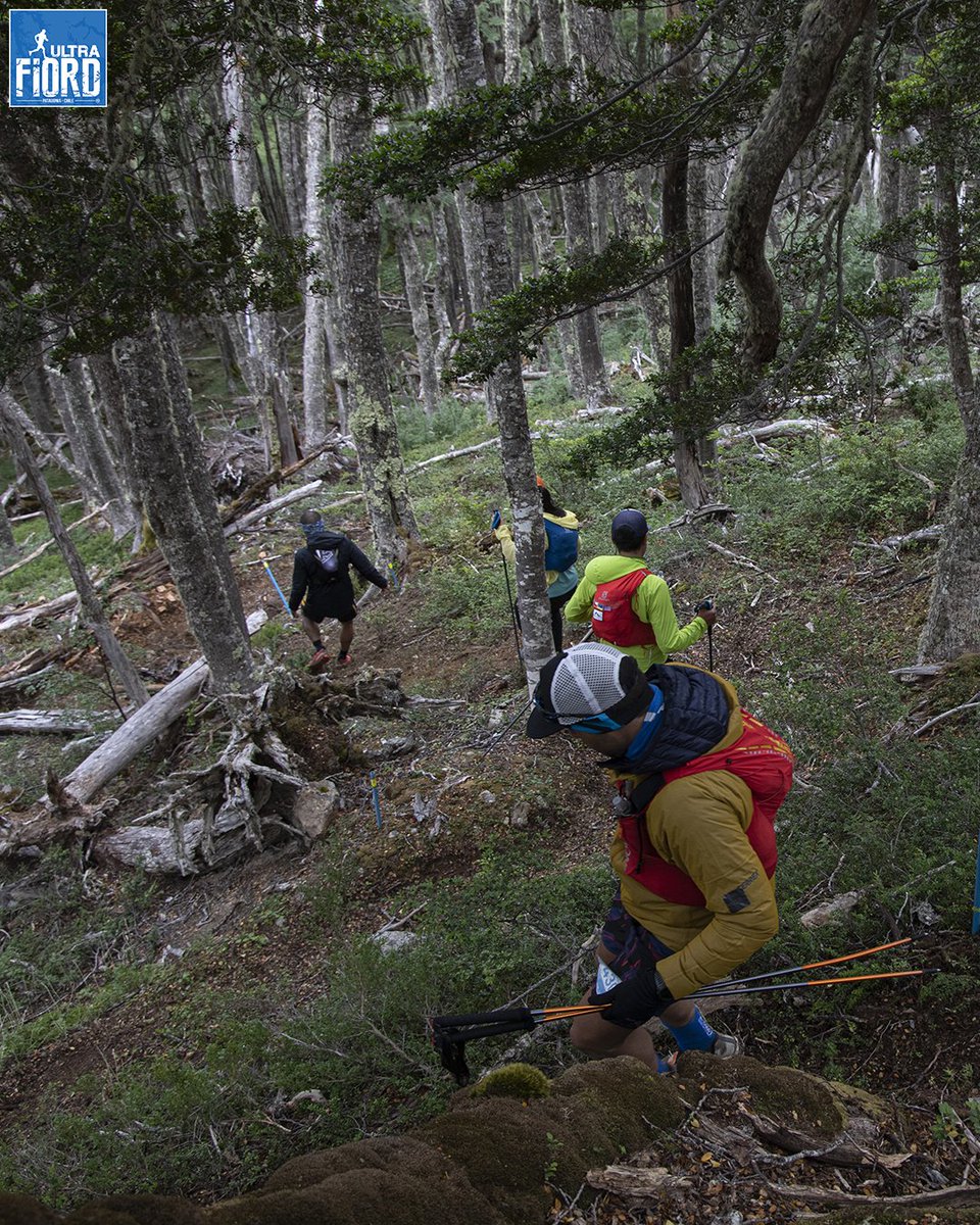 🪱🌲😌 Zigzagueando en el bosque.

ultrafiord.com

🪱🌲😌 Zigzagging in the forest.

#UltraFiord #UltraFiord2023 #RacingPatagonia #Trail #TrailRun #TrailRunning #UltraRunning #UltraTrail #UltraTrailRunning #MountainRunning #UltraMarathon #MountainMarathon