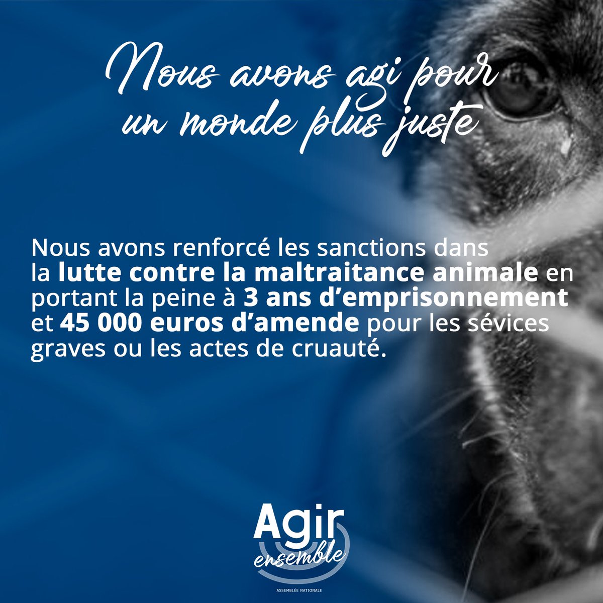 La lutte contre la maltraitance animale est un sujet au cœur des préoccupations des Français. 

Dès 2017, nous en avons fait une exigence.
Avec la loi visant à lutter contre la maltraitance animale, nous avons agi en faveur du bien-être animal en prenant des mesures historiques.