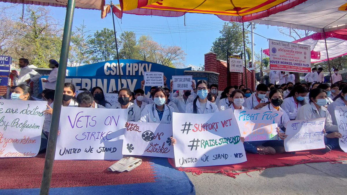 Drgcncovas's tweet photo. Strike #day14
#HP_Vet_Stipend
#Increase_Vet_Stipend
@shantakumarbjp @CMOFFICEHP @MahenderSTBJP @ProfHKChaudhary @dhruv_rathee @TheDeshBhakt
@virenderknwr
@jairamthakurbjp
@DDNewsHimachal 
@ShimlaTimes 
@SBhardwajBJP
@iSureshBjp 
@VikramadityaINC 
@AgnihotriLOPHP https://t.co/v0KgBXwSkb