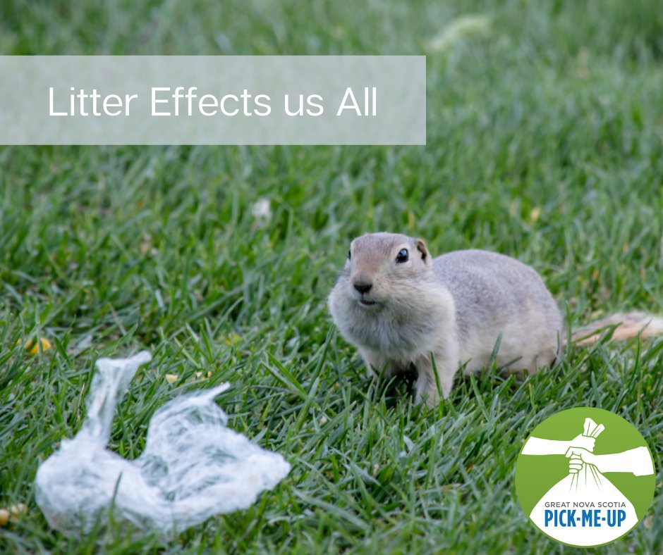 One little piece of litter can seem harmless but the truth is they end up in unexpected places, effecting animals, our waterways and our overall health as humans. Next time you see a piece of litter we challenge you to pick it up!💚 #EveryLitterBitHelps