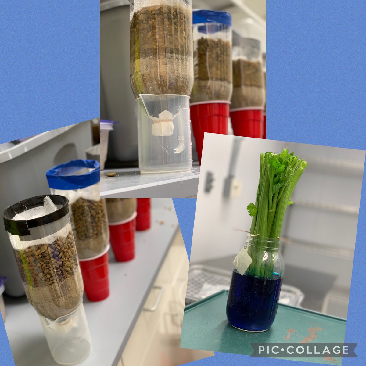 PurdueABE tweet media