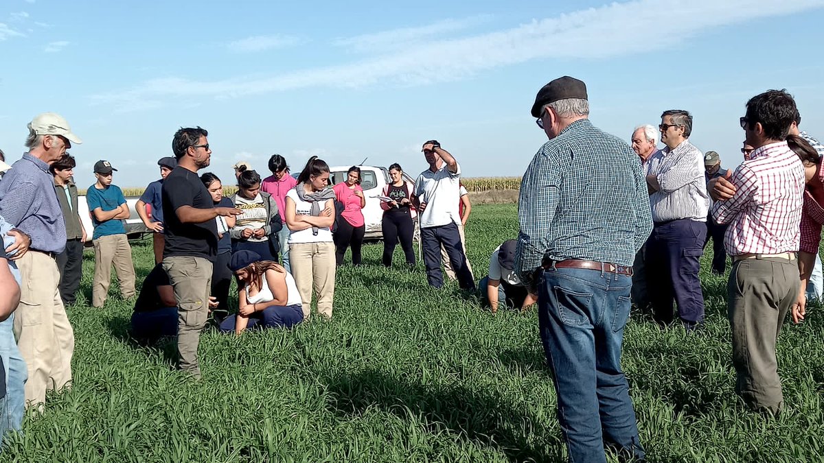 FedericoMoreyr2's tweet photo. 👇🏾👇🏾 Hermosa tarde ayer en📍Estancia "Tres Cardos" donde pudimos recorrer ensayos de verdeos de invierno🌿 con CREA Laprida y CREA Olavarría
👌Intercambio de lujo
@CREASudOeste #CREA #GEASO #Verdeos https://t.co/zHj4n4SAG0