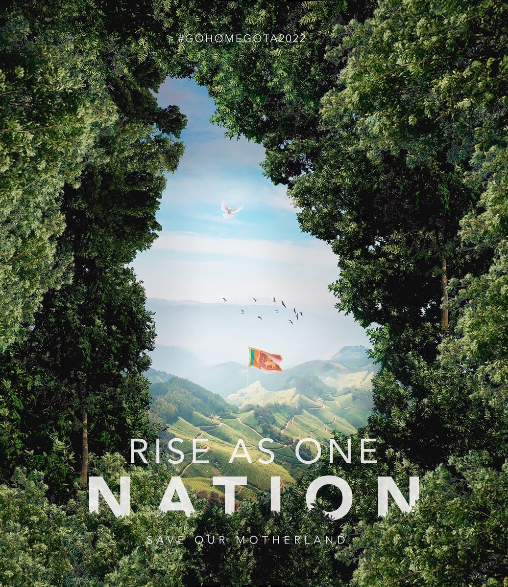 KingWolvi's tweet image. #GoHomeGota2022