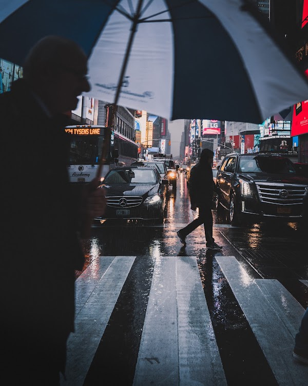 poursoi1's tweet photo. GM
Umbrella Stories: 02 - Edward by @ryanmillier 
See the entire collection at https://t.co/2dxtrii6pz https://t.co/6RPuR1bDzT