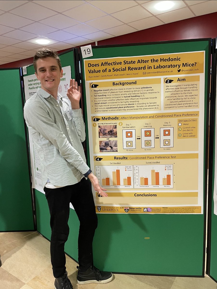 Ryan Nolan tweet media