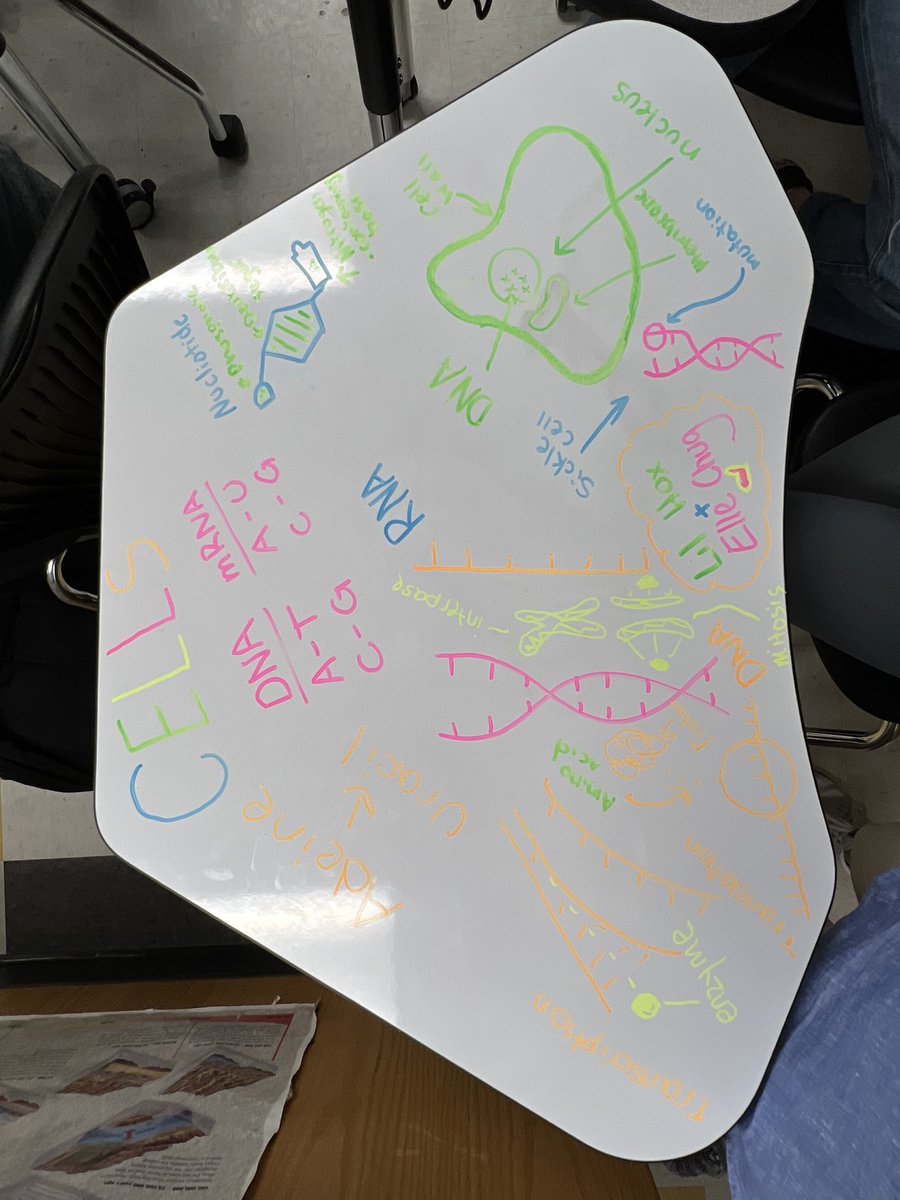 Transcription, translation and a lil cross collaboration! Quiz prep is a breeze with expos and beautiful white board desks….