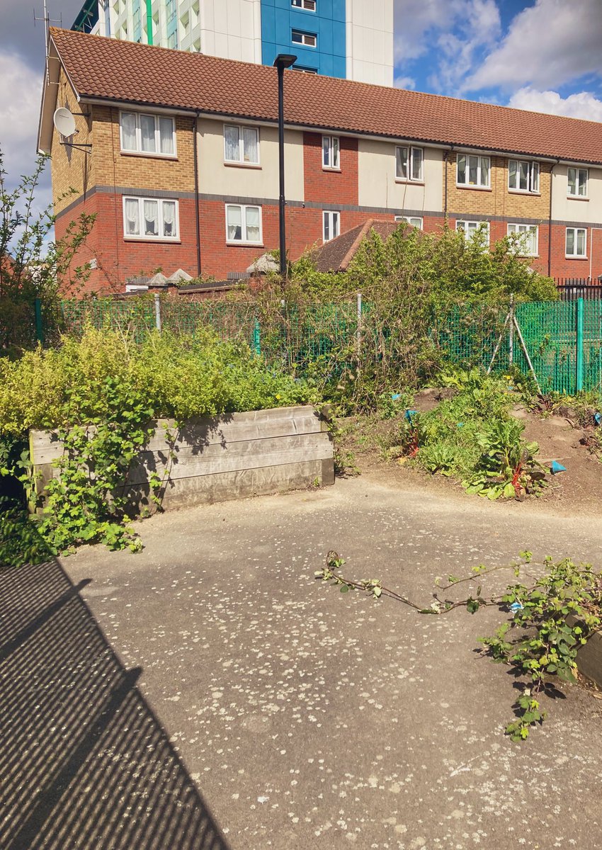 GreenFeltham's tweet photo. Great chat with @Cultiv8London about partnering on restoring the community garden at Belvedere House with @CharityFcda Exciting ideas to potentially create a Butterfly Garden 🪴 🦋🪴🦋 #FelthamInBloom https://t.co/ZUR8CrL3C3