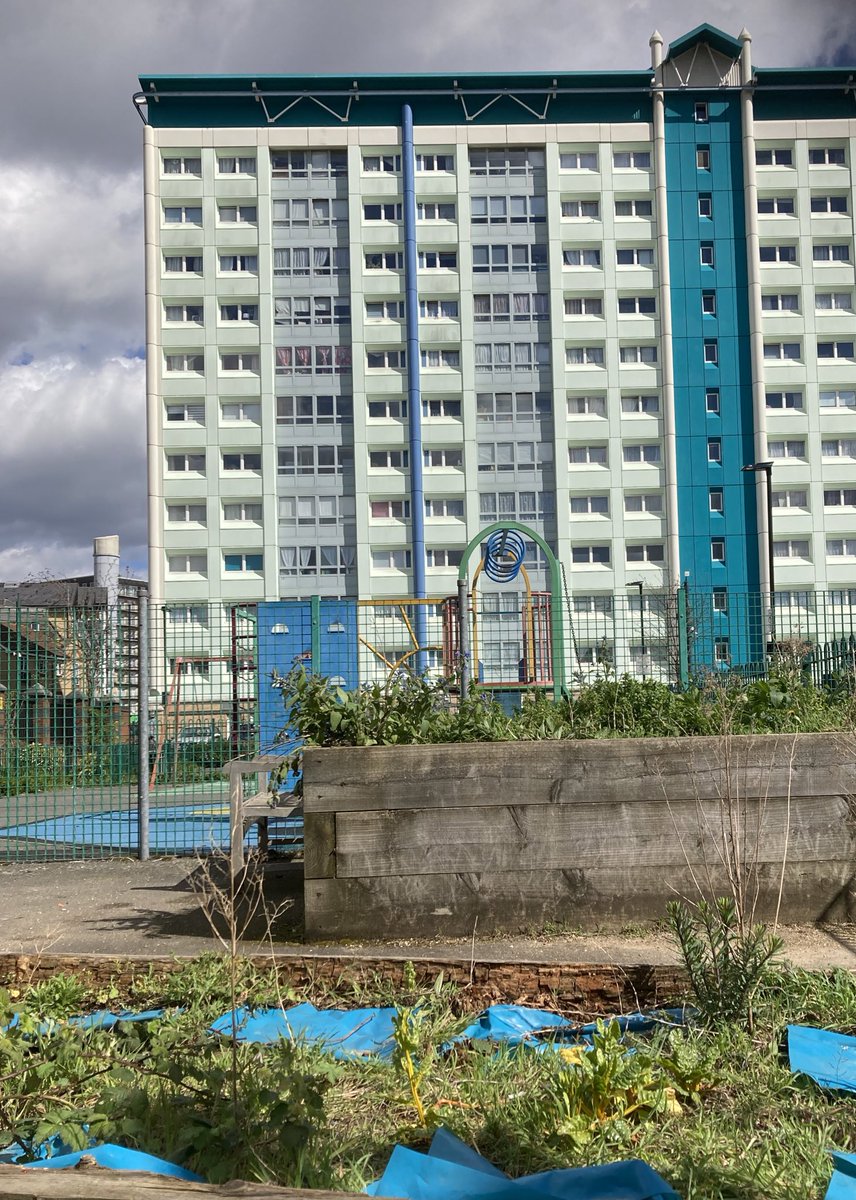 GreenFeltham's tweet photo. Great chat with @Cultiv8London about partnering on restoring the community garden at Belvedere House with @CharityFcda Exciting ideas to potentially create a Butterfly Garden 🪴 🦋🪴🦋 #FelthamInBloom https://t.co/ZUR8CrL3C3