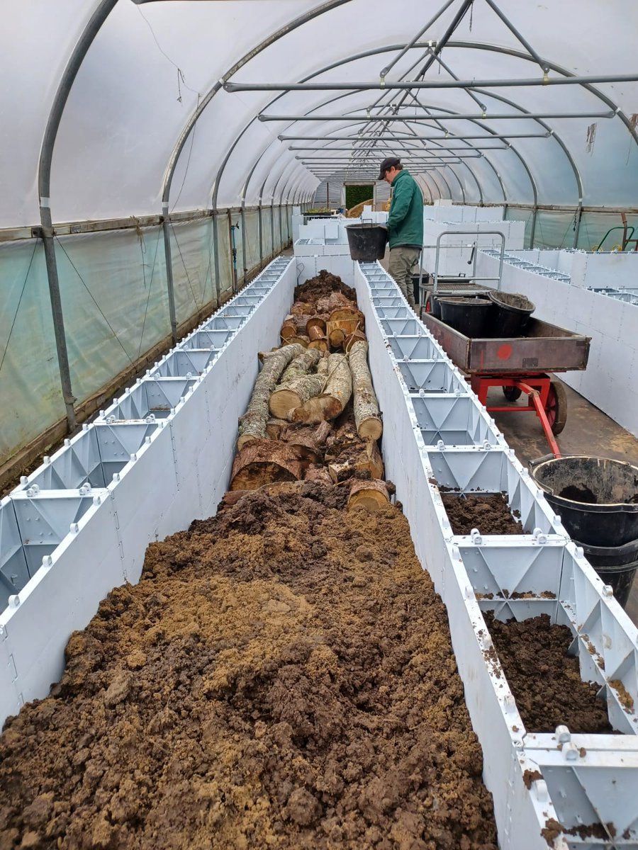 inthebotanics's tweet photo. The raised beds 🛌 are coming along nicely. Thanks to #Quickblocks
The Grow project are looking forward to bumper crop this year https://t.co/ujJxg25O0y