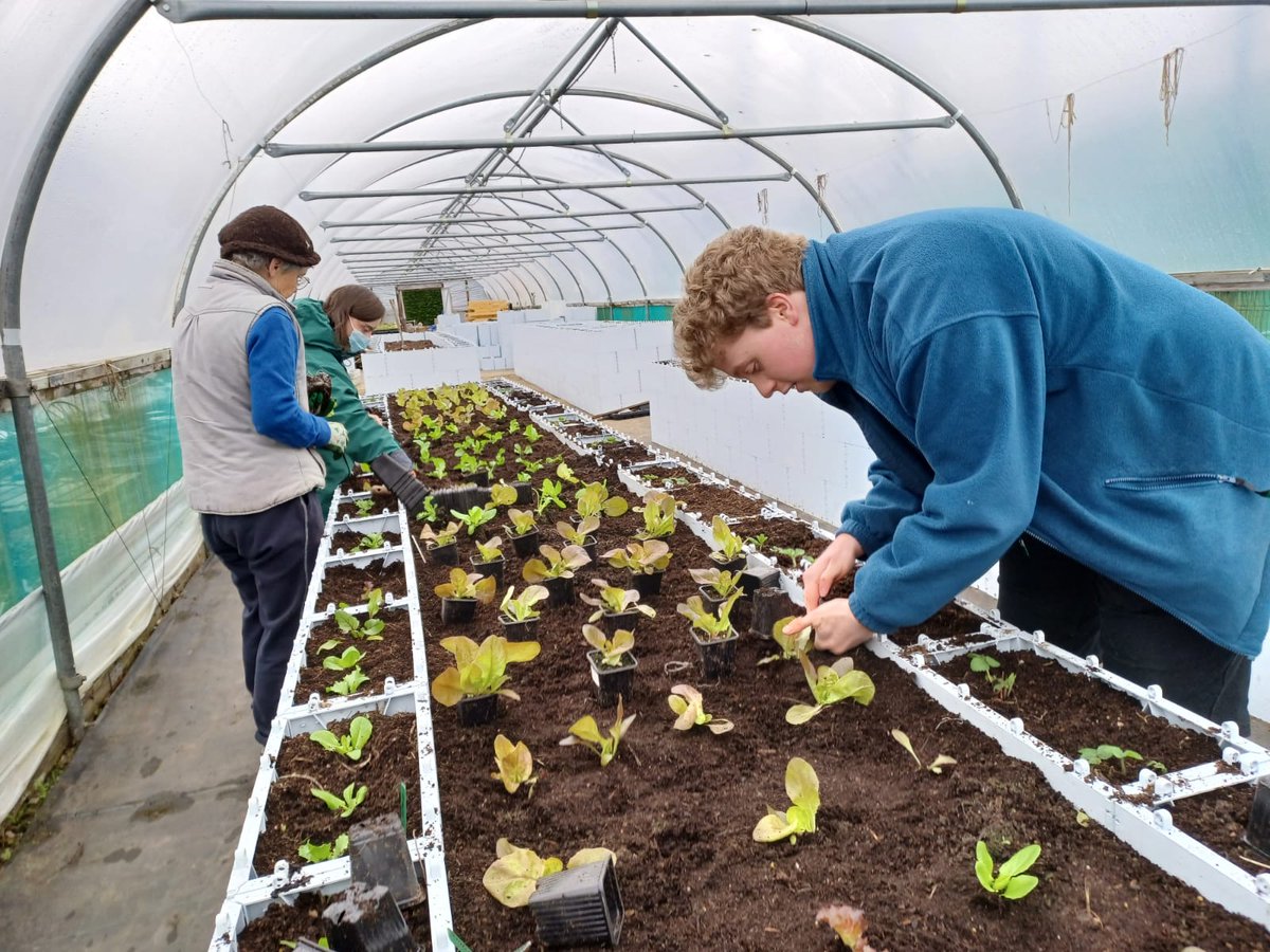 inthebotanics's tweet photo. The raised beds 🛌 are coming along nicely. Thanks to #Quickblocks
The Grow project are looking forward to bumper crop this year https://t.co/ujJxg25O0y
