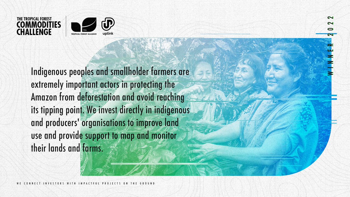 Tropical Forest Alliance at World Economic Forum tweet media