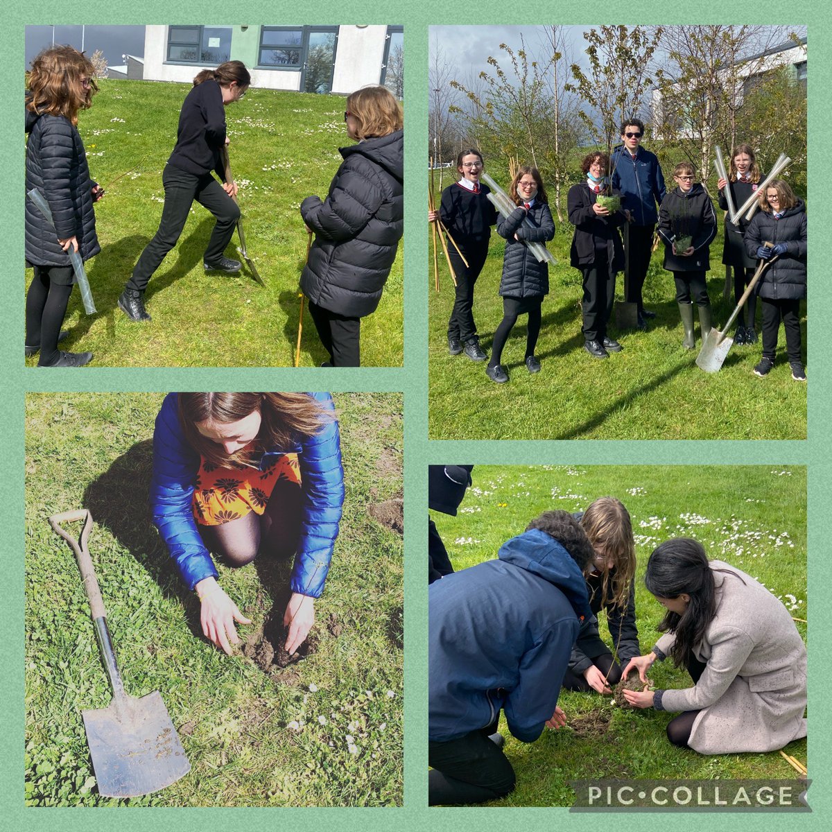 StCyresEco's tweet photo. Eco Club enjoyed planting some trees around the school site 🌳🌏💚😊 https://t.co/s3AjCx9ljV