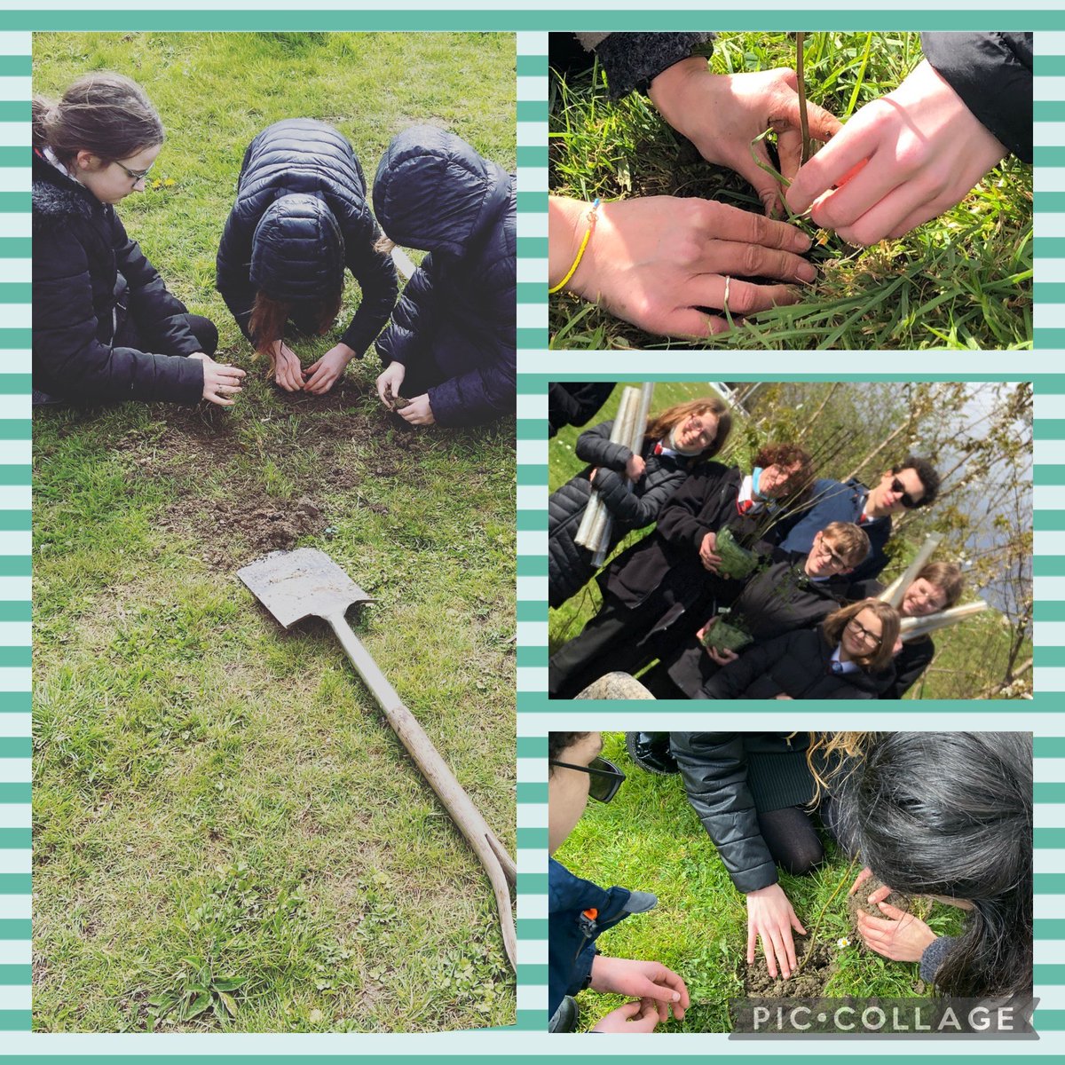 Eco Club enjoyed planting some trees around the school site 🌳🌏💚😊