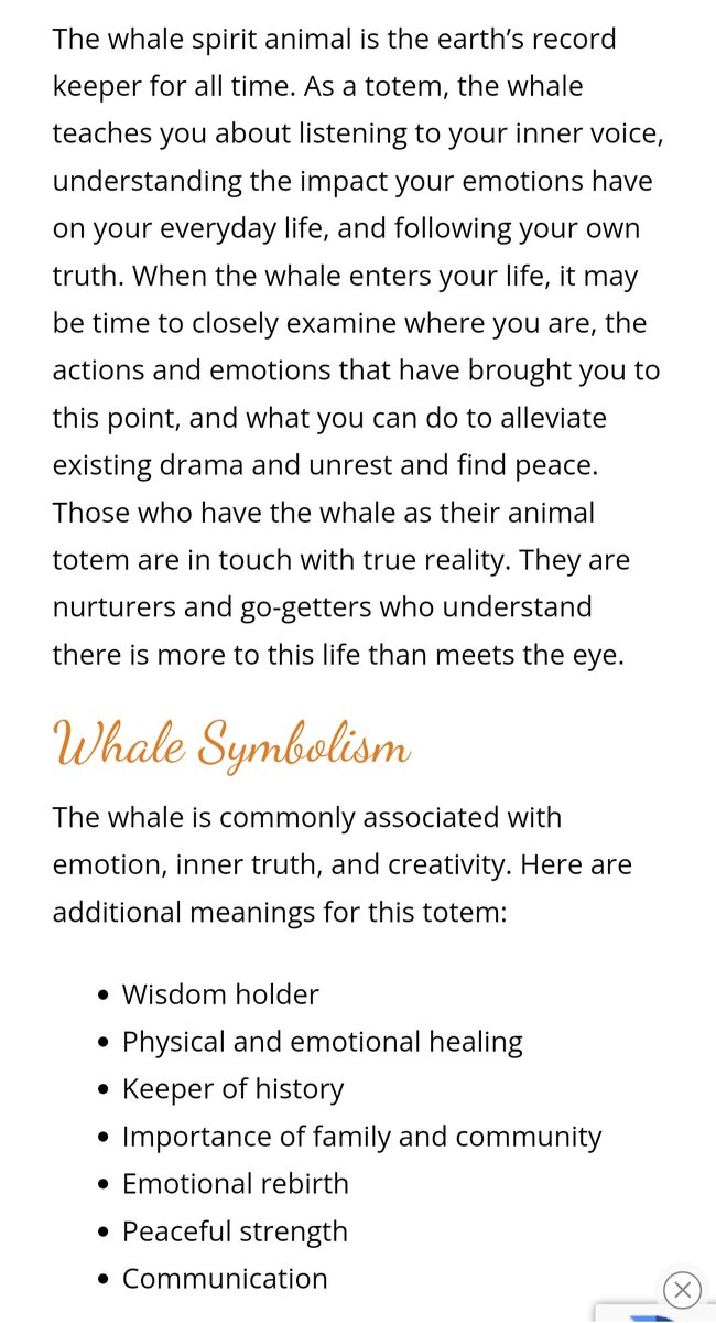 <a href="/heygentlewhale/">Gentle Whale | $BUBBLE</a> <a href="/kbbyhoon/">kbby</a>