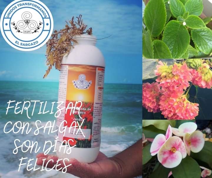 Salgax® Biotecnología Marina Aplicada tweet media