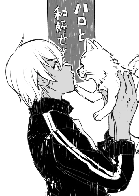 ハロと和解した(すみません修正) 