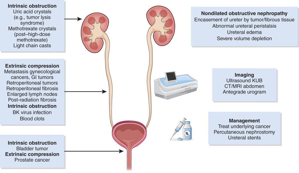 AKI can have major repercussions for patients with cancer, potentially jeopardizing further eligibility for therapy and leading to greater morbidity and mortality. This Review highlights gaps in knowledge of AKI in patients with cancer bit.ly/CJN15681221