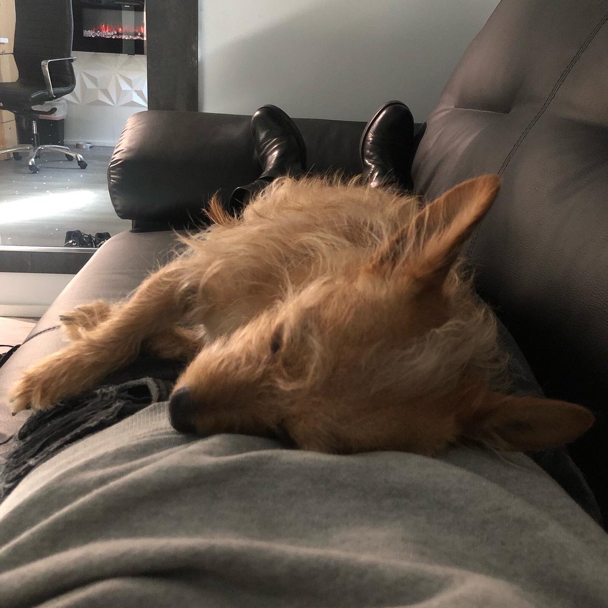 Victoria Pratt tweet media