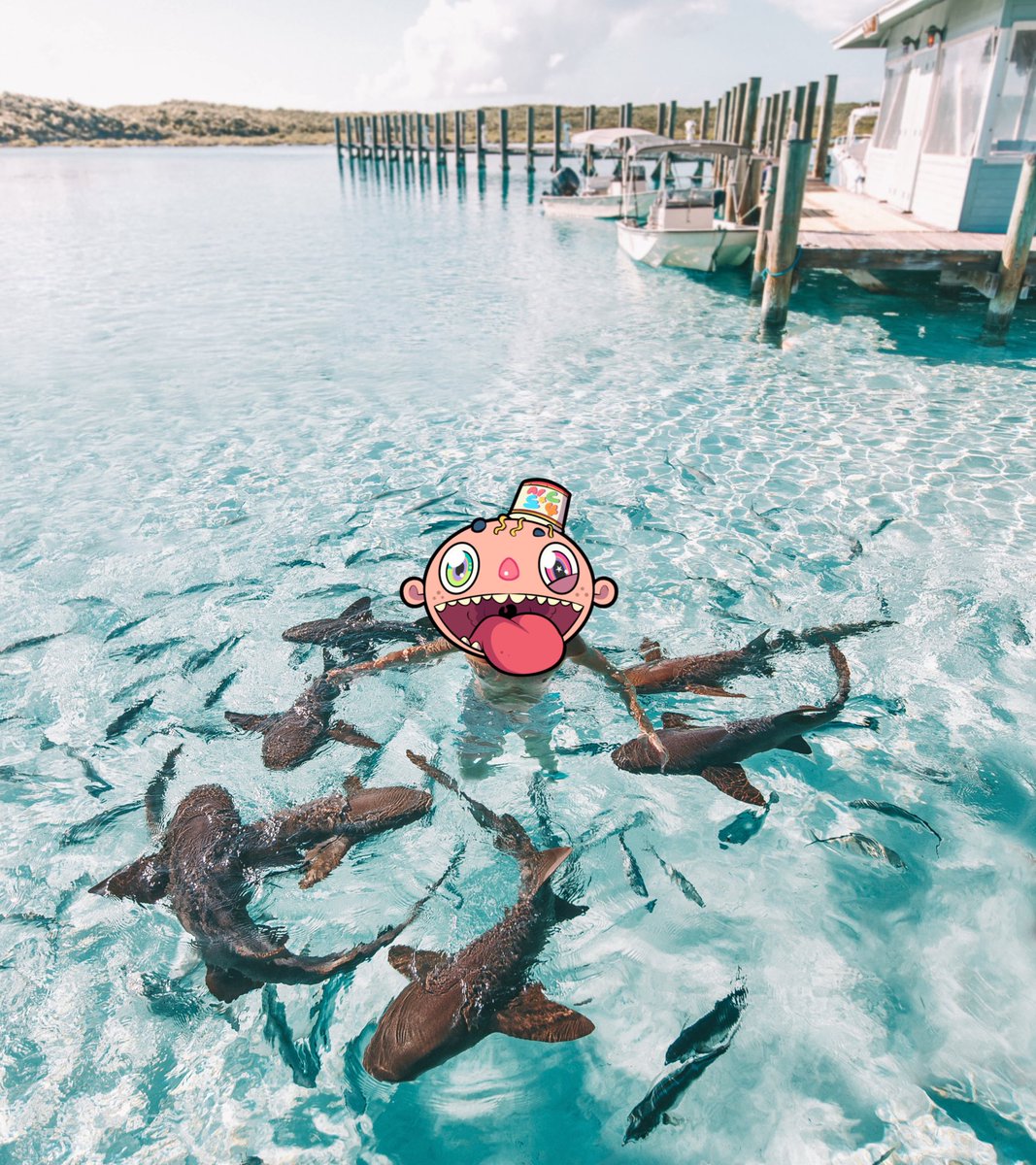 SergeyKbn's tweet photo. @KarafuruNFT What about shark’s swimming? 🦈 @KarafuruNFT #KarafuruWorldwide https://t.co/drlV0R4GW0