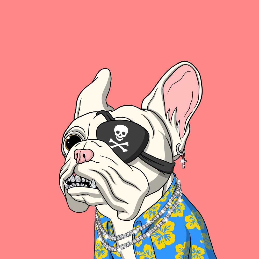 Fancy Frenchies NFT tweet media