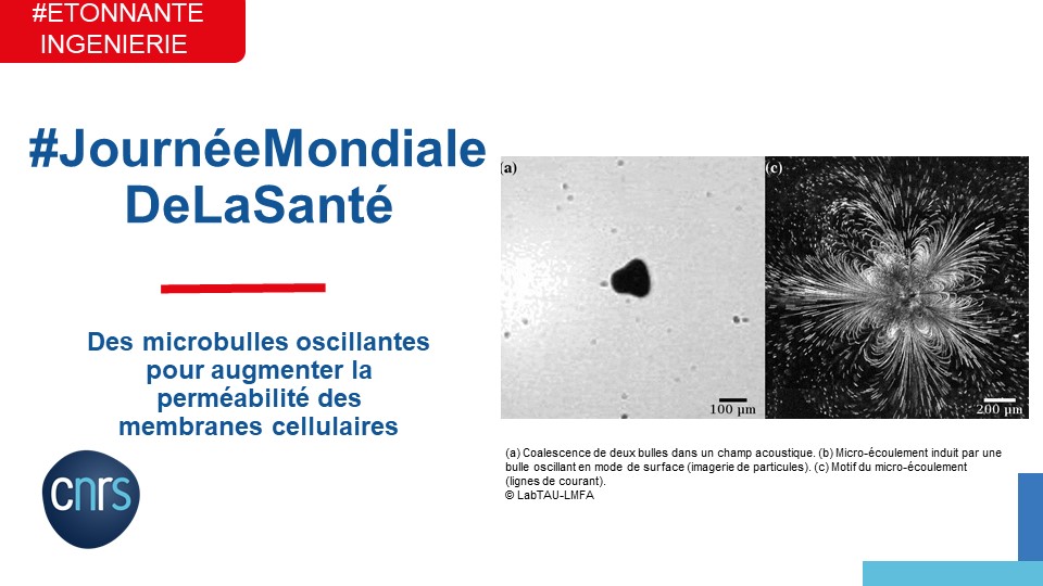 CNRSingenierie's tweet photo. #EtonnanteIngénierie 👩🔬👨💻🤨
#JournéeMondialeDeLaSanté
La recherche menée par les labos #LMFA et #LabTAU ouvre des voies pour la délivrance ciblée de médicaments 💊
(Re)Découvrez le dispositif expérimental reposant sur l’oscillation contrôlée d’une bulle⤵️
https://t.co/GIAEdhMBxX https://t.co/xtSbjbjg6G