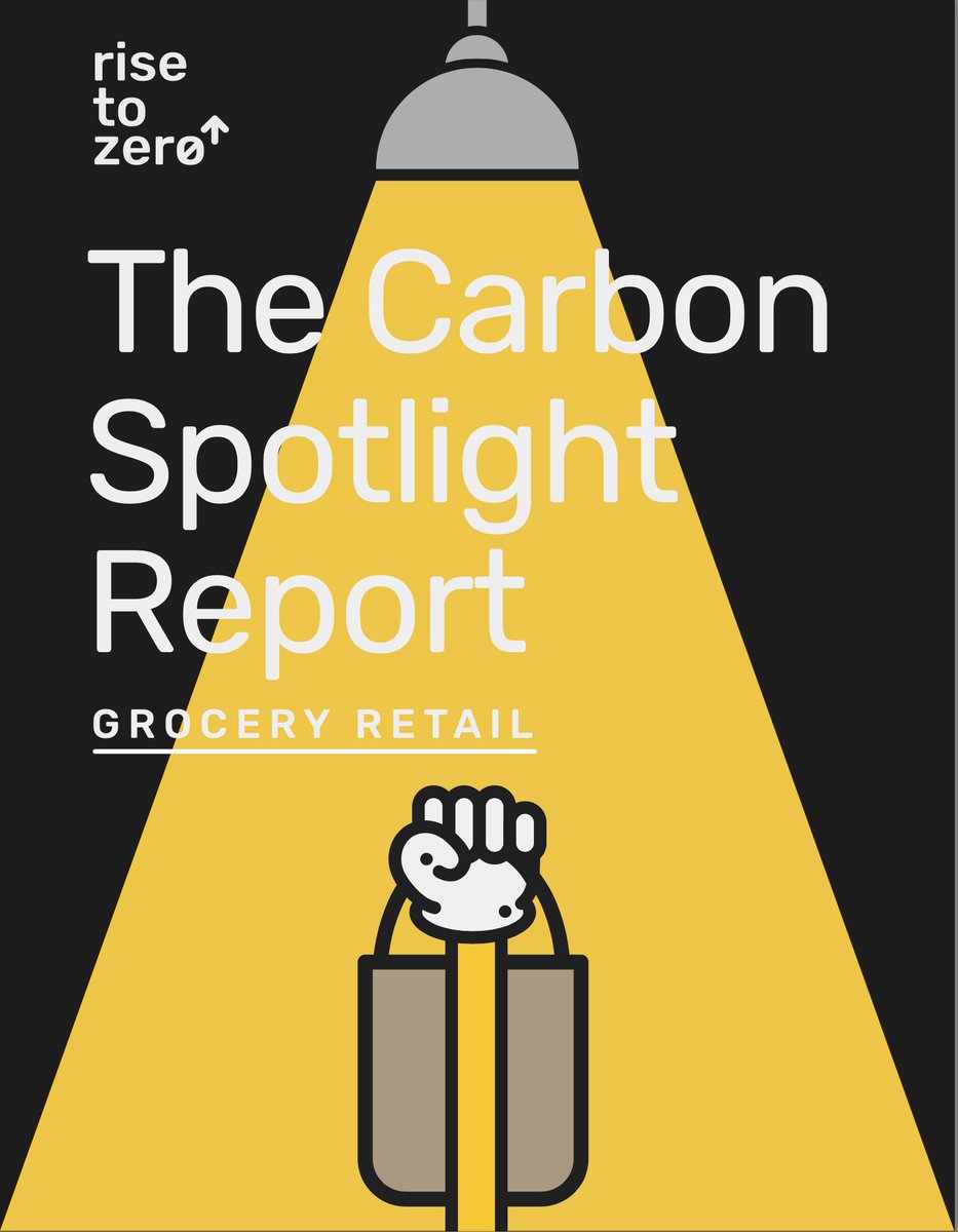 Rise to Zero tweet media