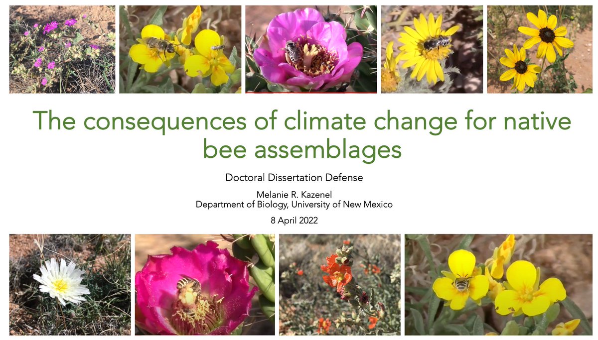 Melanie Kazenel tweet media