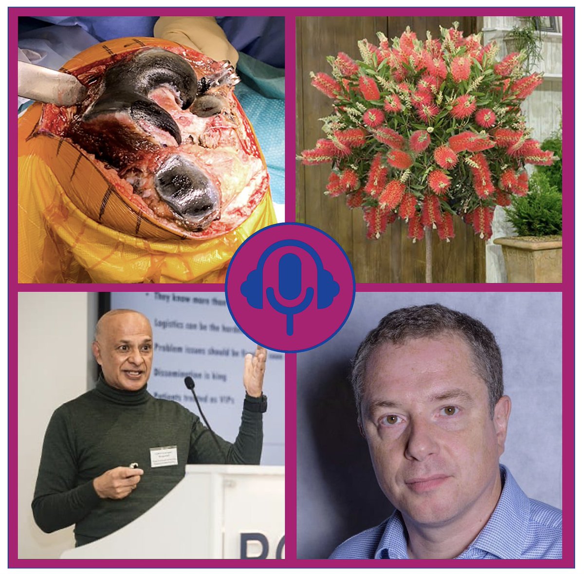 Can you find the link between these four images? What's the connection between blackened bones, bottle brush plants and two wonderful podcast guests?

Listen to our most recent podcast for all you need to know.

Soundcloud: soundcloud.com/user-109006120…

Apple: podcasts.apple.com/gb/podcast/jim…