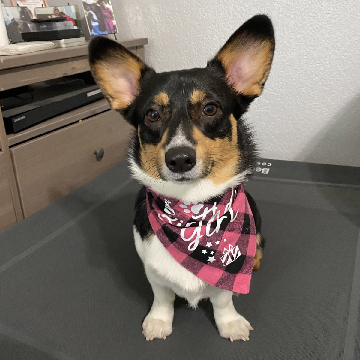 loveeejen_'s tweet photo. It’s my babies 1st birthday and I miss her being so little 😭 
2 months old ——> 1 year old 🥺❤️ https://t.co/xcq7YhviXA