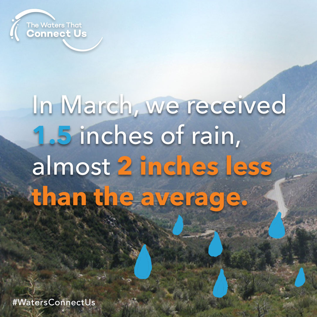 MSGBWatermaster's tweet photo. Imagine 1.5”—the length of a bee or a safety pin. That’s also how little rain fell this March in the San Gabriel Valley instead of our average 3.3”. With rainfall lower than average, we’re still in drought. That’s why for our water, we are taking action together. #save15 https://t.co/sApHdU77aG
