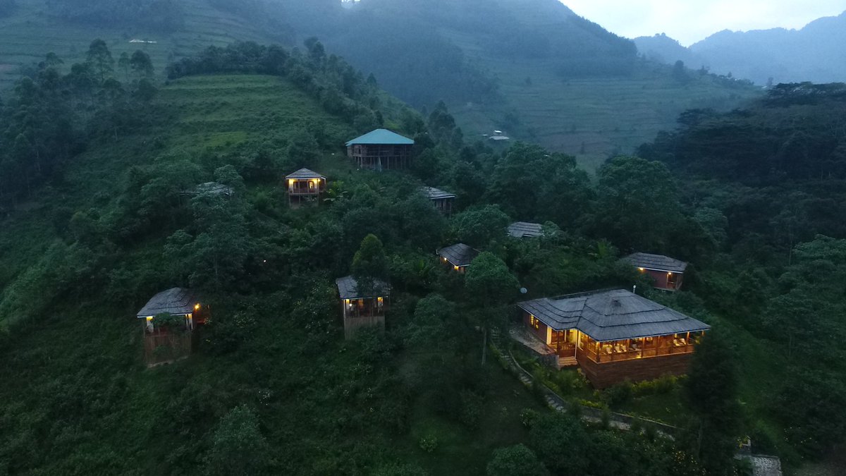 RaphTravelGuide's tweet image. Good night from the home of gorillas 🦍