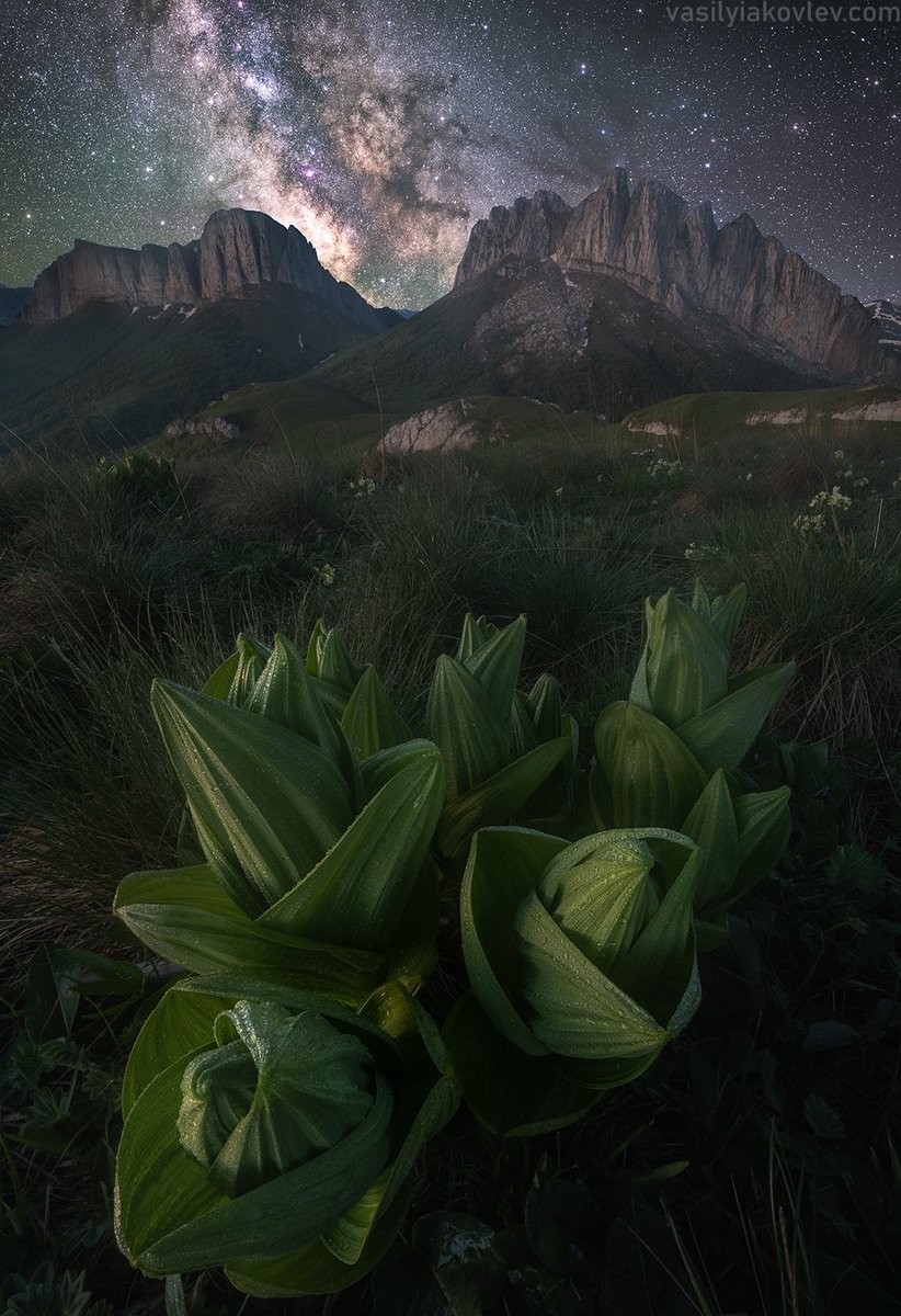 Ночь над Чертовыми Воротами

© Vasily Yakovlev
amp.gs/jpwrk
